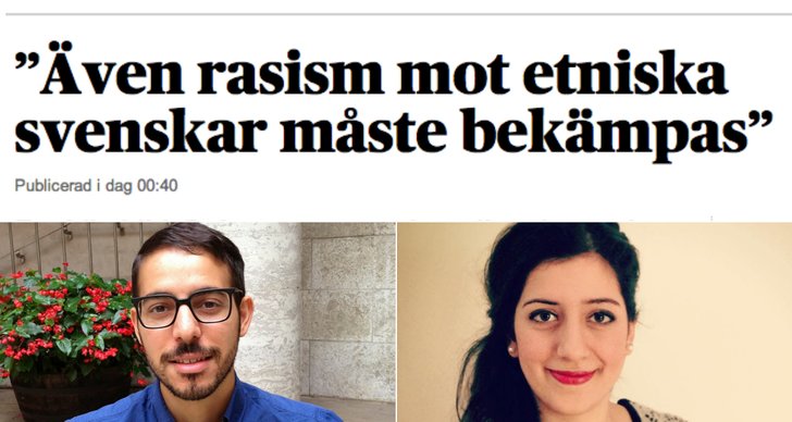 Rasism, Debatt, Sverigedemokraterna, Etniska svenskar, Robert Hannah, Liberalerna